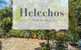 Helechos Hotel